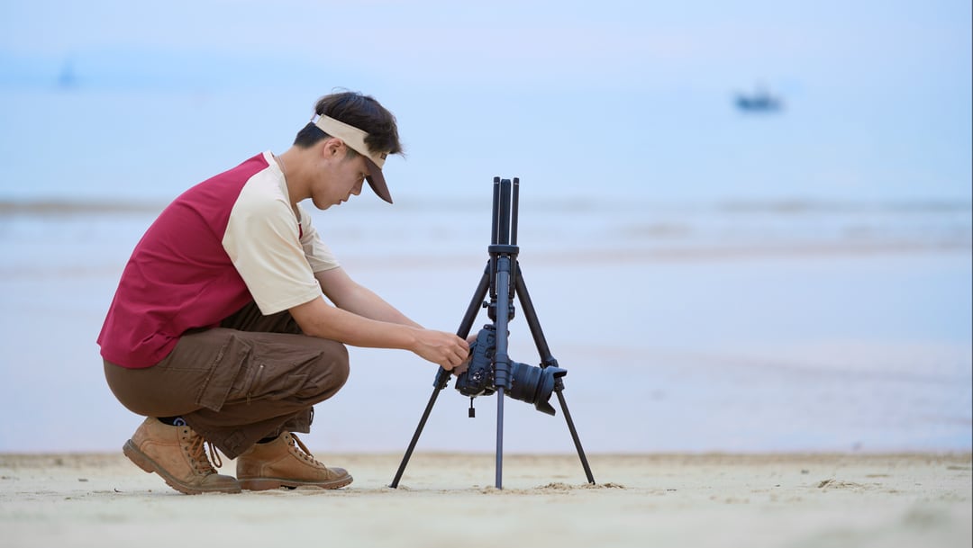 Ultimate Guide to Macro Photography Gear: Lenses, Cameras, Tripods &amp; Monitors